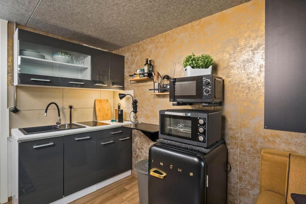 Dresden Loft An Der Elbe Lägenhet Exteriör bild